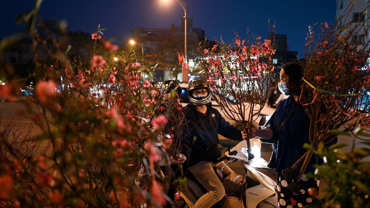 Peach blossom trees are displayed for sale along a street in Hanoi ahead of Lunar New Year -- or Tet, as it's referred to there.