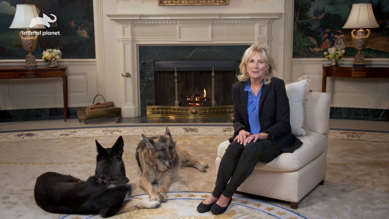 First Lady Jill Biden with first dogs Champ and Major.