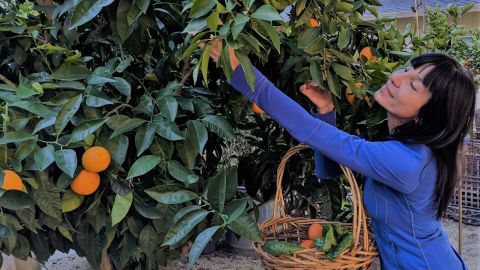 Carla Manly spends time relaxing in her garden in Sonoma County, California.