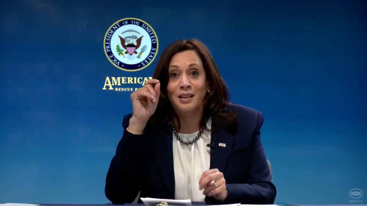 Vice President Kamala Harris speaks during a virtual roundtable discussion with Black business leaders on February 5, 2021.