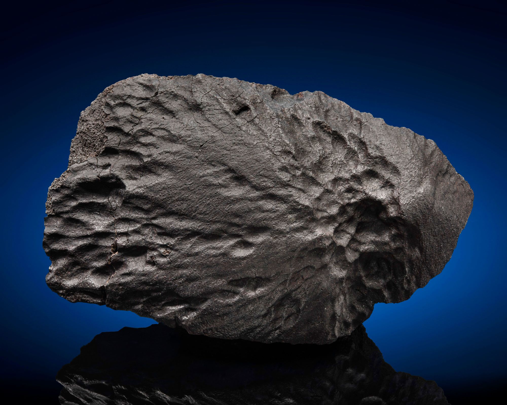 RESTRICTED 04 meteorite statues intl scli