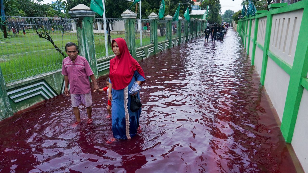Residents wade through floodwaters dyed red from the waste of a batik factory in Pekalongan, central Java on February 6.