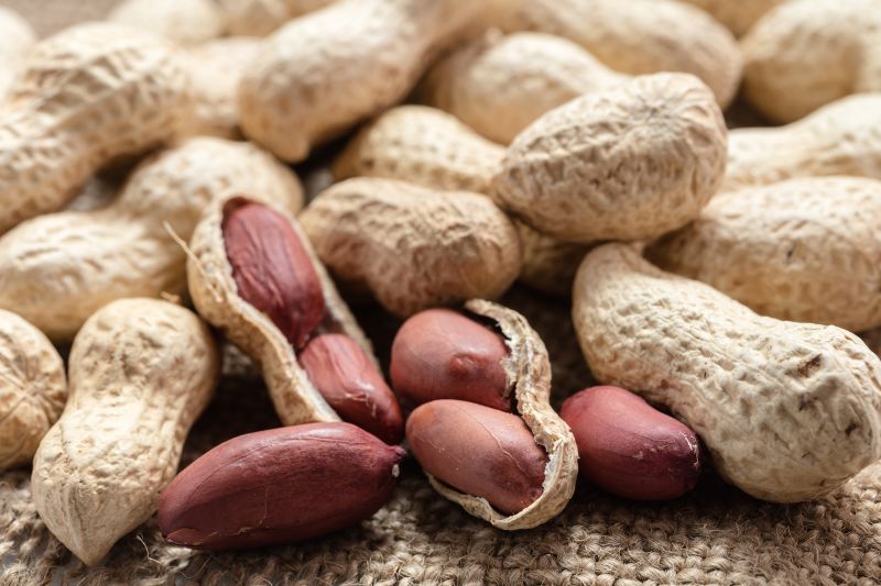 Peanut allergies affect over 4.6 million US adults, study says CNN