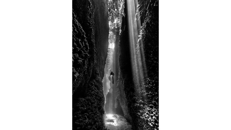 Diana Fernie from Australia won the Black and White category with "The Cut," taken during a diving trip in the Solomon Islands. 