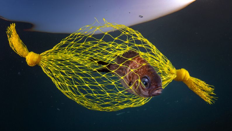 Pasquale Vassallo, from Italy, was a runner-up in the Marine Conservation category for "The Yellow Candy," which highlights the scourge of plastic pollution.