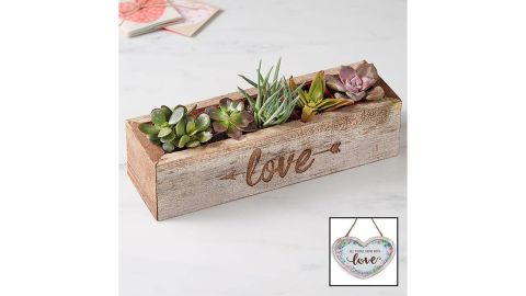 Love Is Sweet Succulents