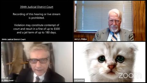 Attorney Rod Ponton mistakenly adopted a cat persona in a virtual court hearing in Texas on Tuesday.