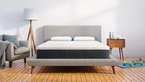 Bear Mattress