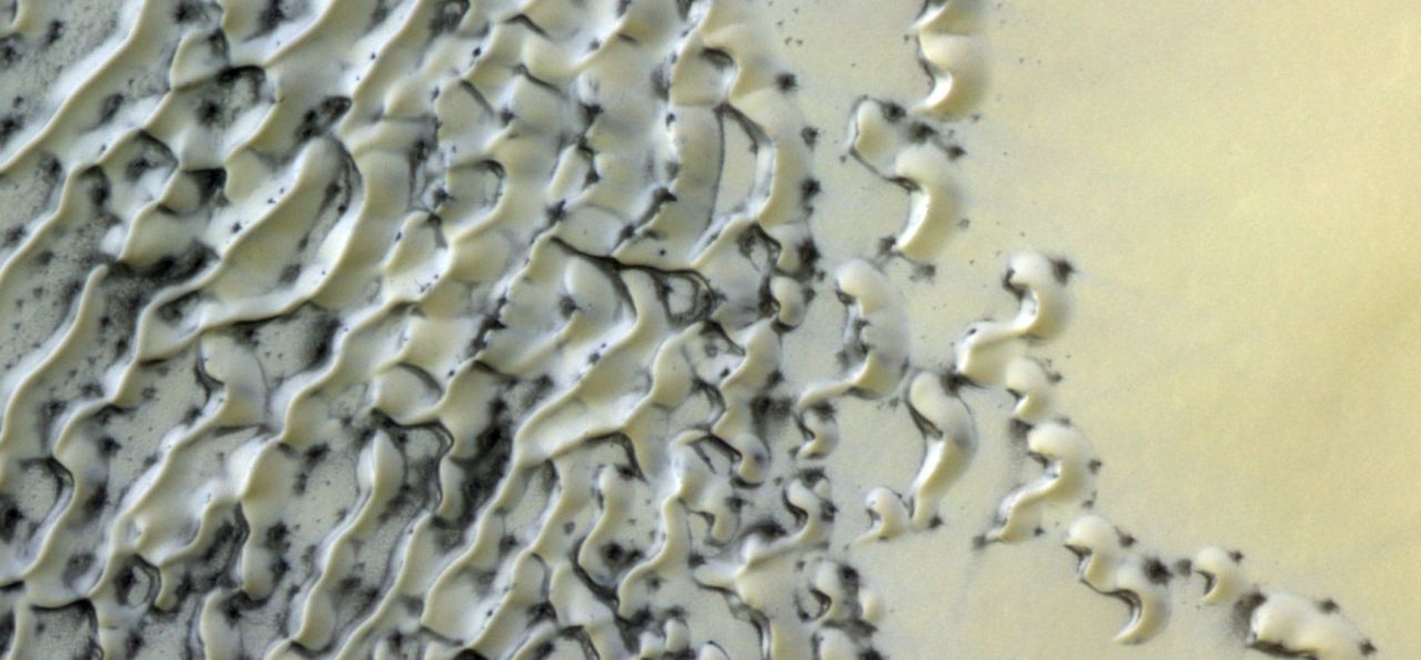 Is that cookies and cream on Mars? No, it's just polar dunes dusted with ice and sand.