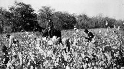 01 slavery cotton