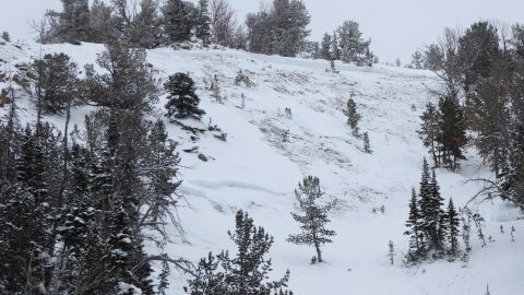 One person died in an avalanche near Beehive Basin in Gallatin National Forest Sunday.