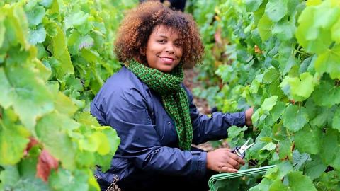 Marie-Ines Romelle, 42, is now running her own champagne label, in partnership with a local vineyard, and says it is has found a market among customers of Caribbean origin who want a brand that reflects their connections with the region.