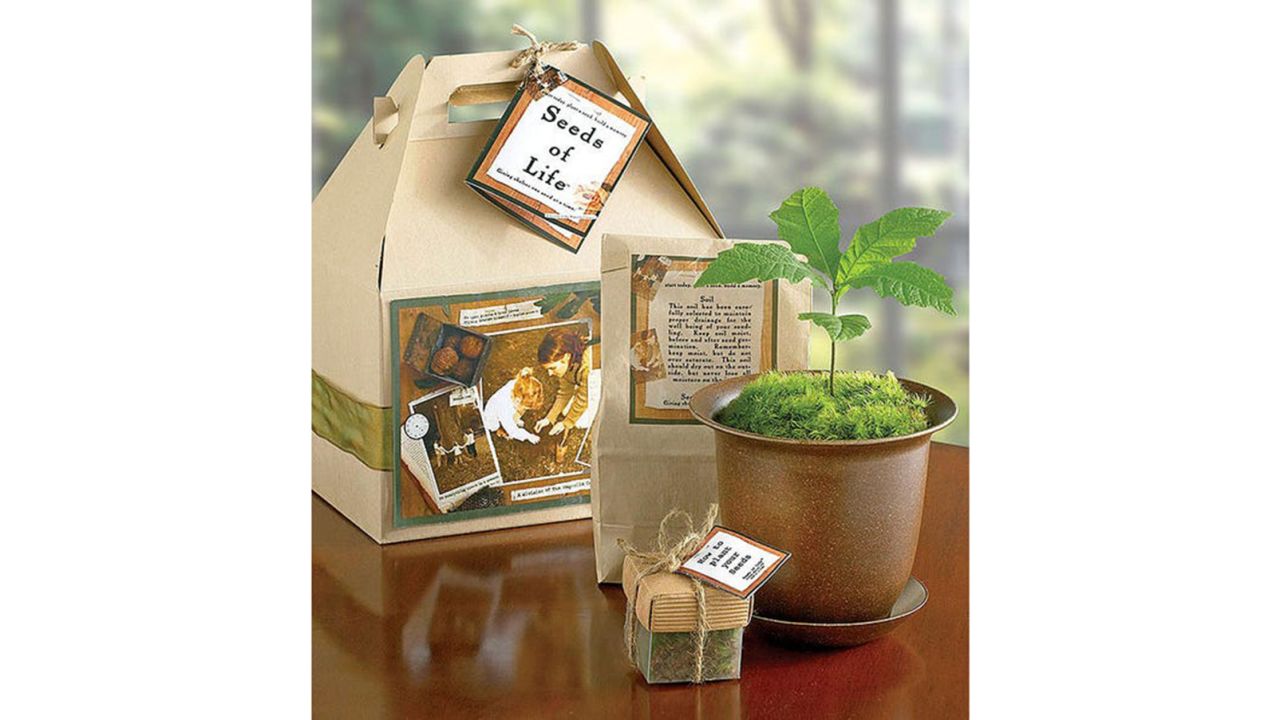 Seeds of Life Tree Kit