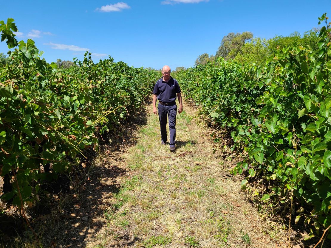 Alister Purbrick, chief executive of the Tahbilk Group, walks through his vineyard in central Victoria in February 2020.