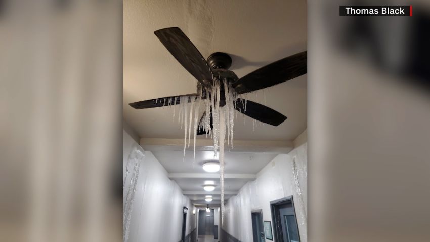 Fan frozen texas