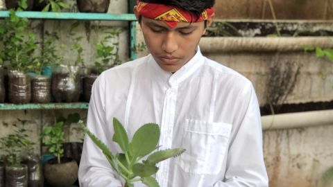 Paul, 15, has been a student at HUNAB's education center for eight years. He is growing a herb garden and studying traditional Mayan healing with a mentor.