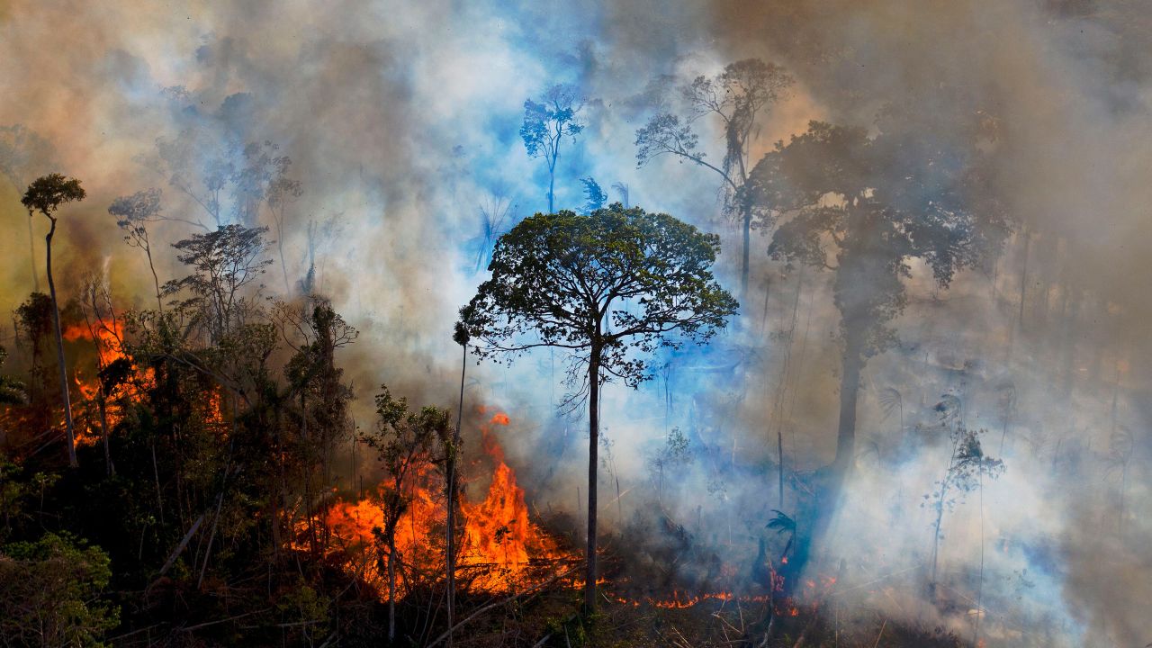 Smoke rises from an illegally lit fire in the Amazon rainforest reserve, south of Novo Progresso in Para state, Brazil, on August 15, 2020. 