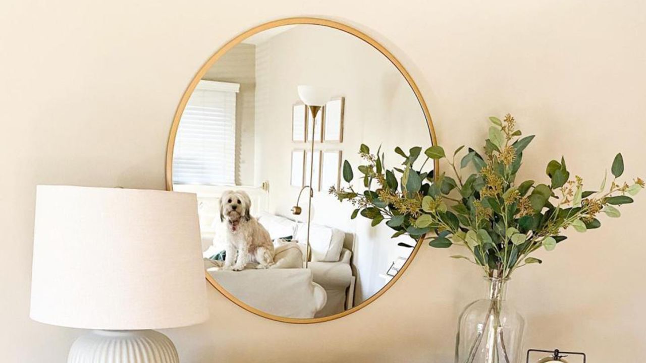 Project 62 28-Inch Round Decorative Wall Mirror
