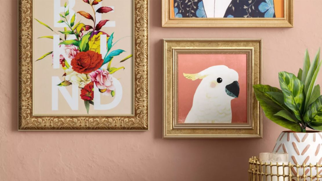 Opalhouse Cockatoo Recessed Frame