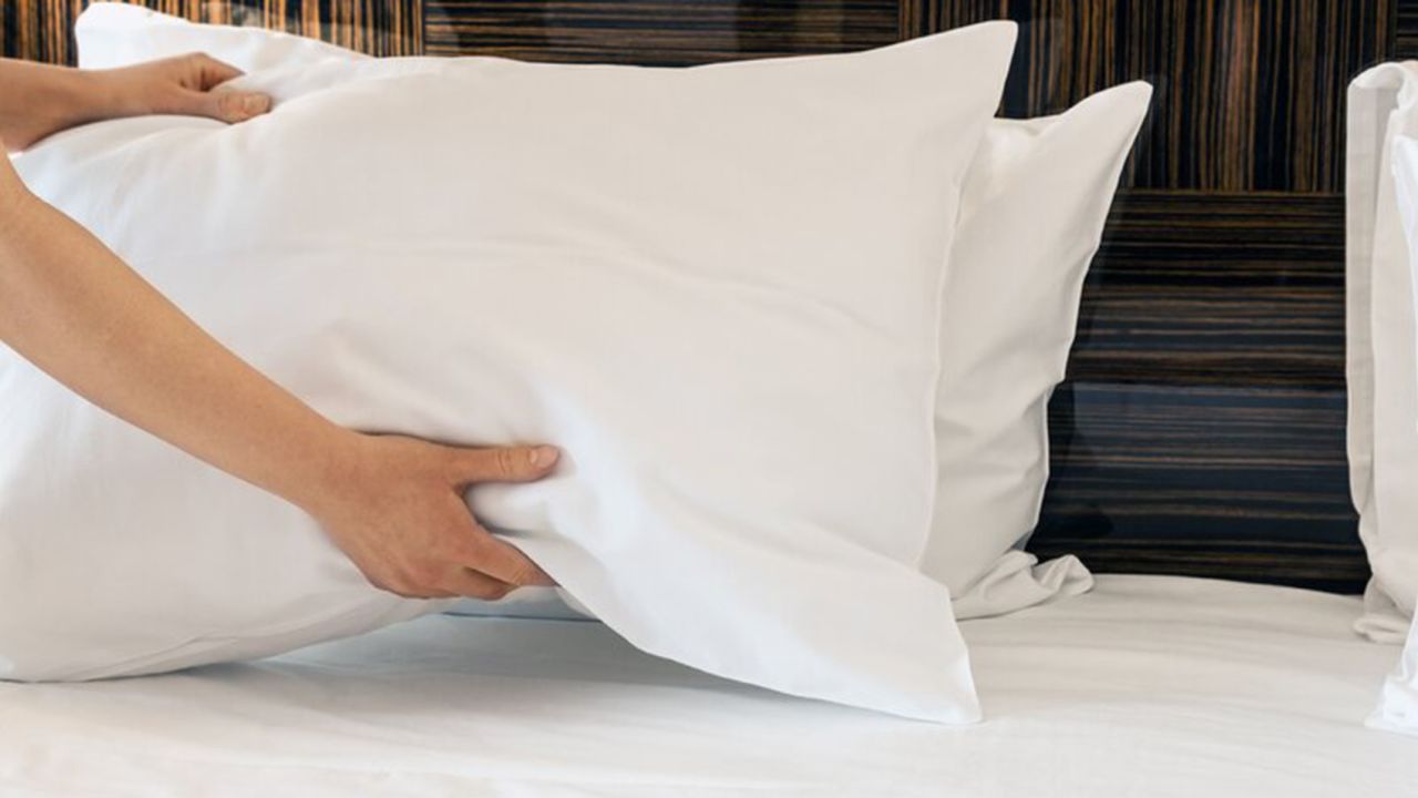 Alwyn Home White Orin Soft Down and Feathers Standard Pillows, 3-Pack