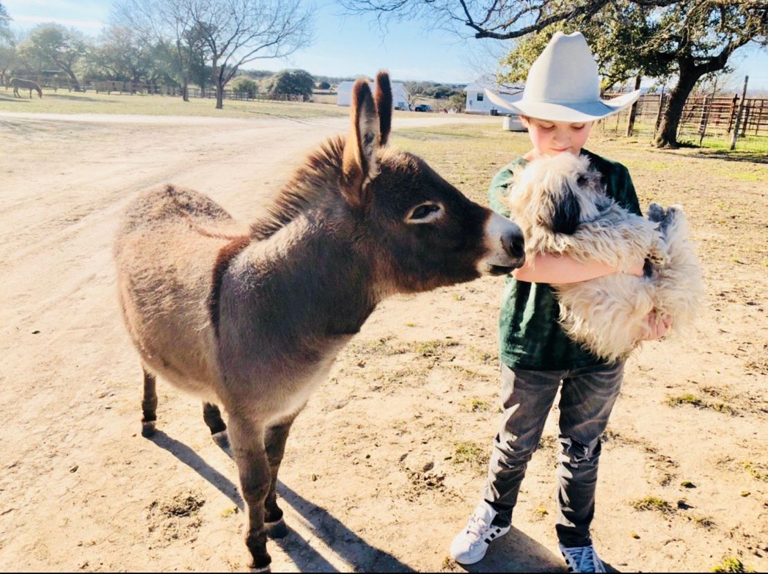 Wyatt, Rascal, and a donkey share a moment on a ranch in the Texas Hill Country.
