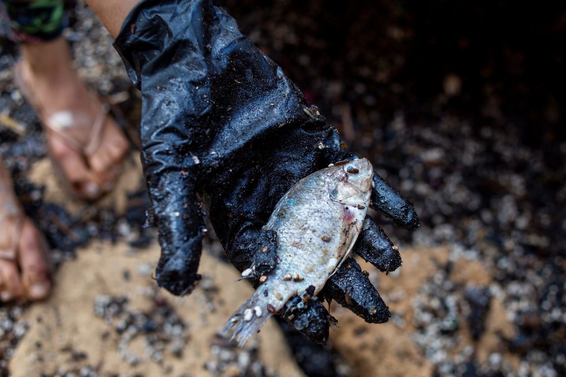 A woman holds a dead fish after she cleaned it from tar from a suspected oil spill in the Mediterranean sea in Gador nature reserve near Hadera, Israel, on February 20.