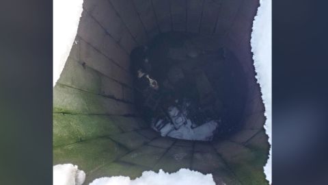 Milo was found in a grain silo, having lost 33 pounds and suffering blistering cold, the shelter said.