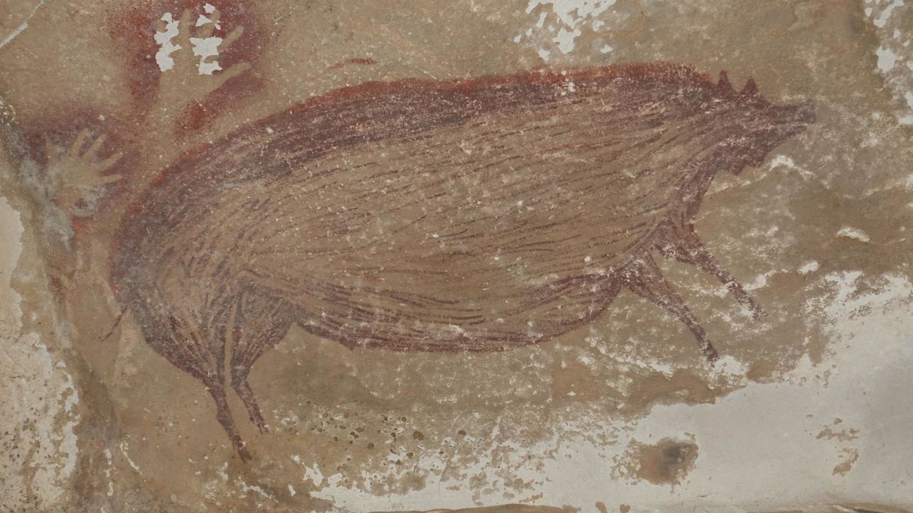 Archaeologists discovered a 45,500-year-old cave painting of pigs on the Indonesian island of Sulawesi.