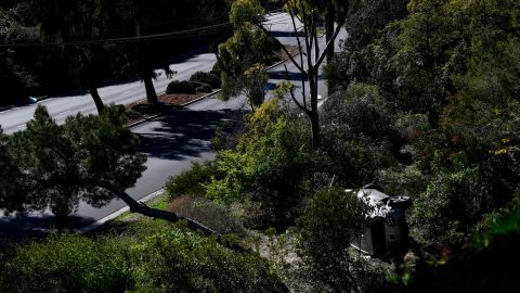 Woods' car came to rest on the driver's side in brush on the side of the road.