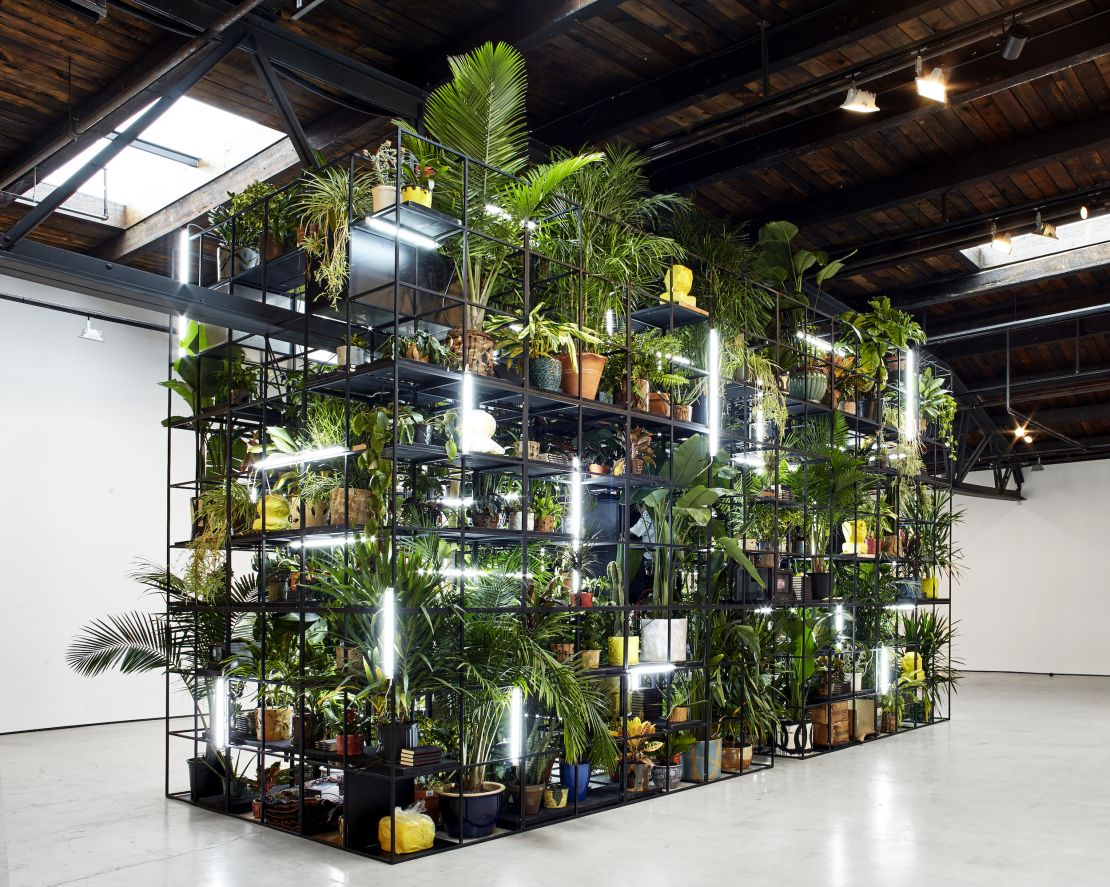 Rashid Johnson's "Antoine's Organ," brings together lights, plants and various objects within a black steel frame.