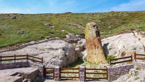 The petrified forest was formed when a volcano exploded in the north of the Island, covering the area with lava and ash.