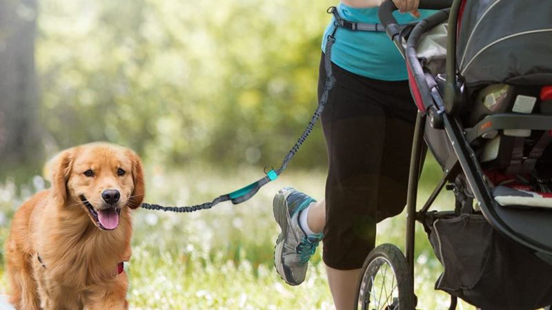 taotronics leash