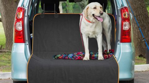 active pet back seat hammock