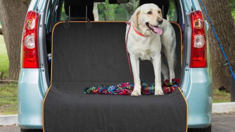 Active Pets Back Seat Hammock