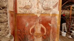 A newly restored frescoe from the House of Ceii in Pompeii.