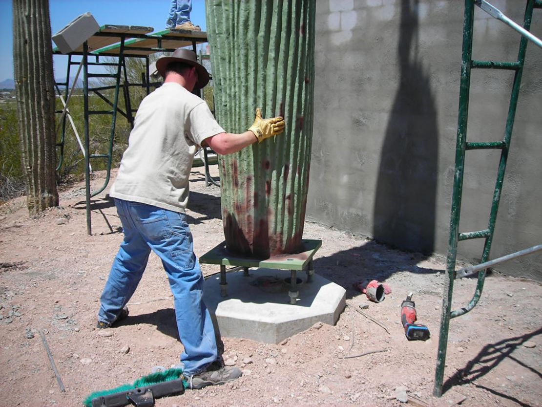 A 4G and 5G-enabled cactus has been installed in the Scottsdale, Arizona area.