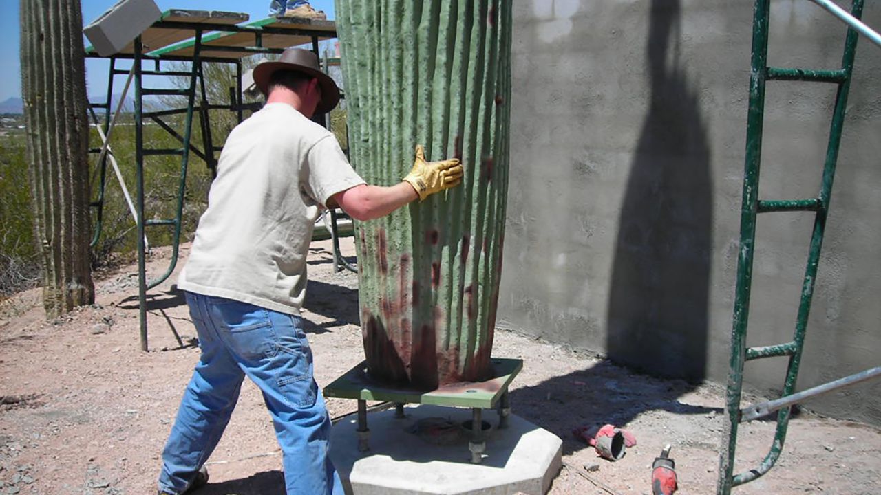 A 4G and 5G capable cactus is installed in the Scottsdale, Arizona, area.