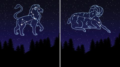 leo aries constellation SPLIT STOCK