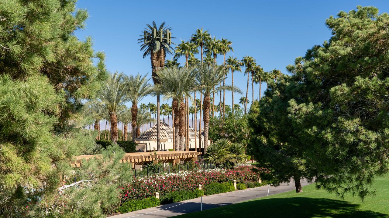 A mono-palm tree installation located in Indian Wells, California. The 4G site can be modified to be 5G capable.