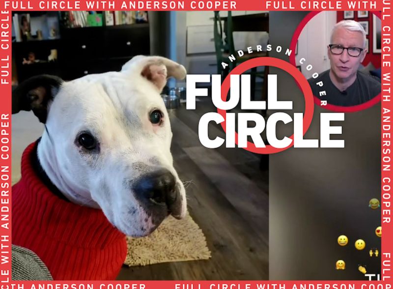 Family Says Adopting Pit Bull Was Best Thing In Quarantine CNN   210302185453 Mobapp Afcf Goods Pitbull 