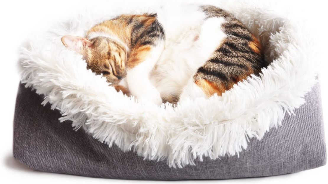 4Claws Furry Pet Bed and Mat