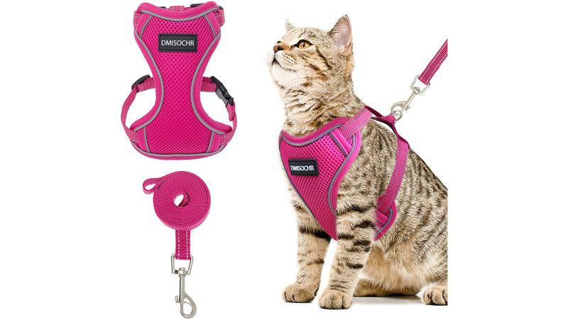 Cat harness outlet that actually works