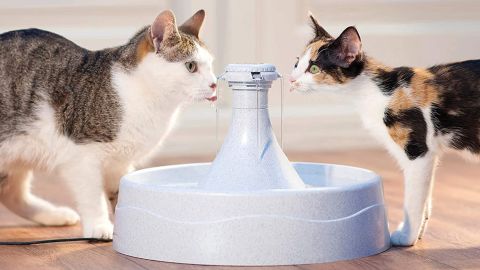PetSafe Drinkwell 360 fountain