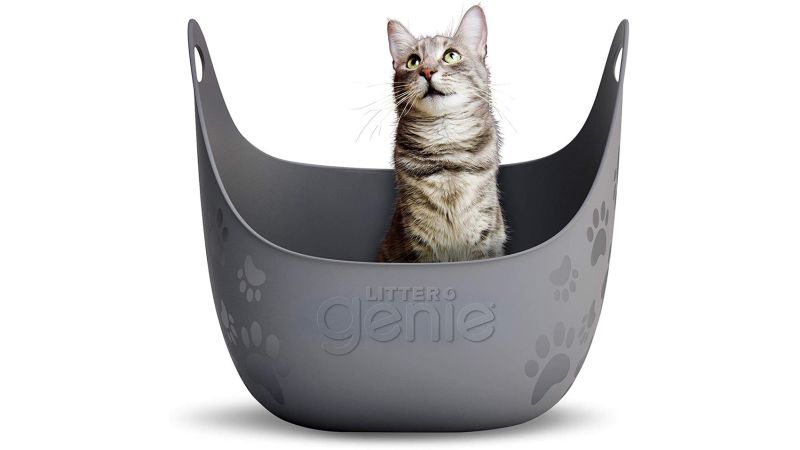 Essential cat hot sale supplies