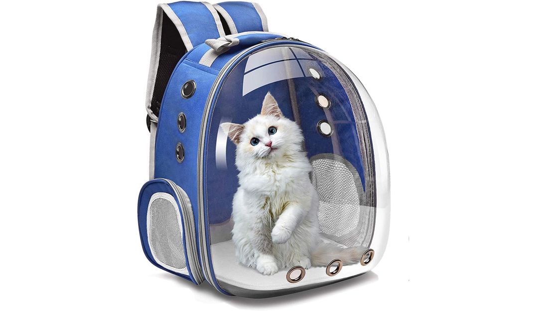 Taylor Swift's Cat Backpack, Review With Pictures