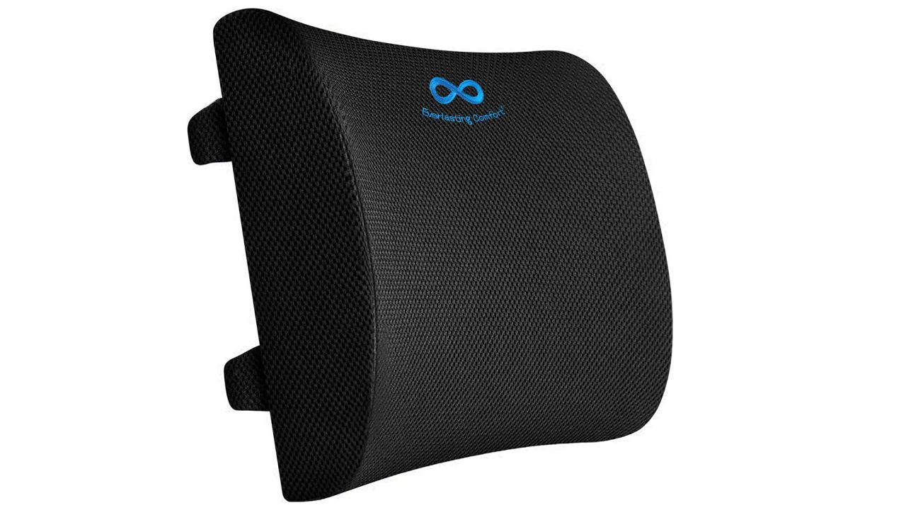 Everlasting Comfort Lumbar Support Pillow