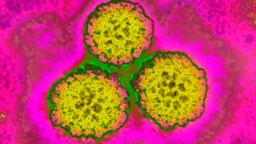 HPV can cause cancer in men and women, so it is important to get tested for the virus.