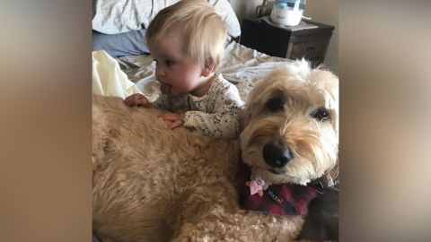 Parker, their son, with Hazel, their Goldendoodle. 