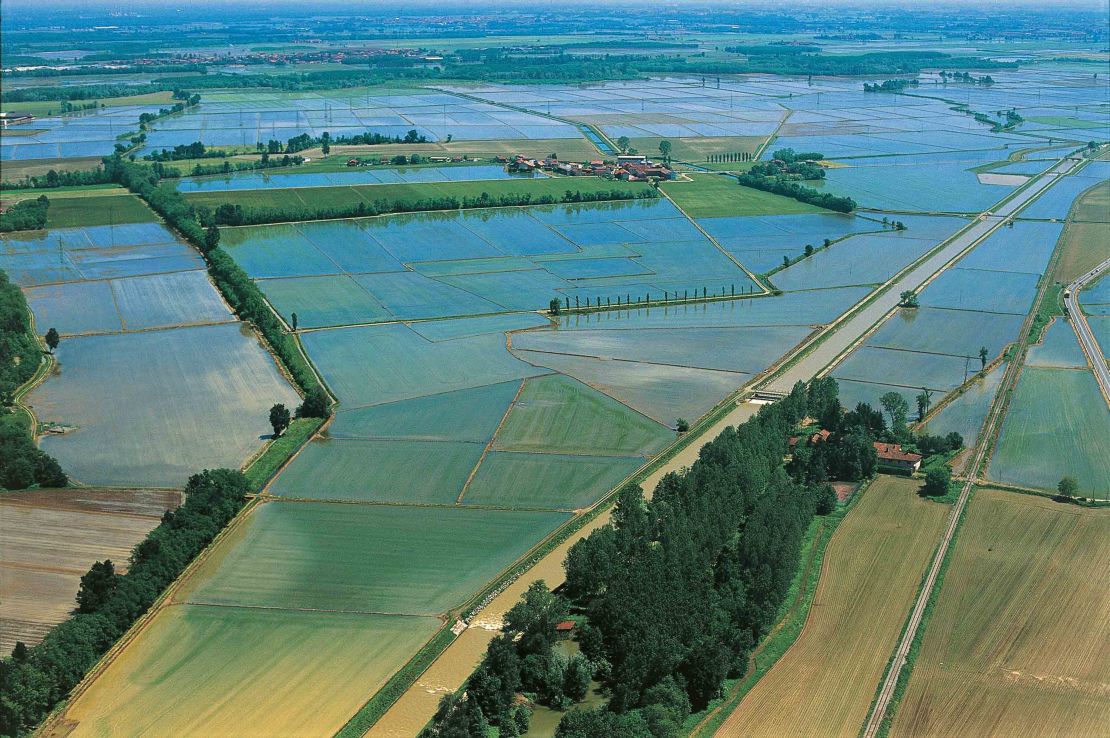 Rice fields in the province of Novara, Piedmont.