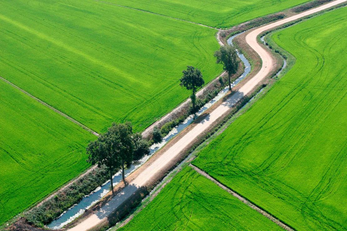 Italy's rice belt follows the River Po across the north of the country, from Piedmont to Veneto.